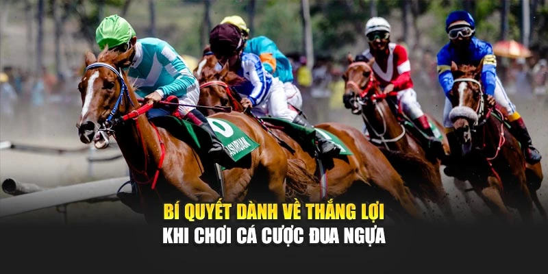 Bí quyết dành về thắng lợi khi chơi cá cược đua ngựa