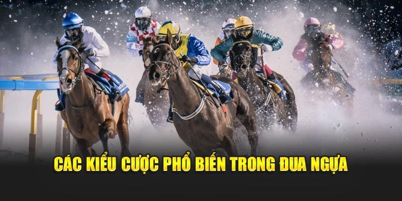 Các kiểu cược phổ biến trong đua ngựa