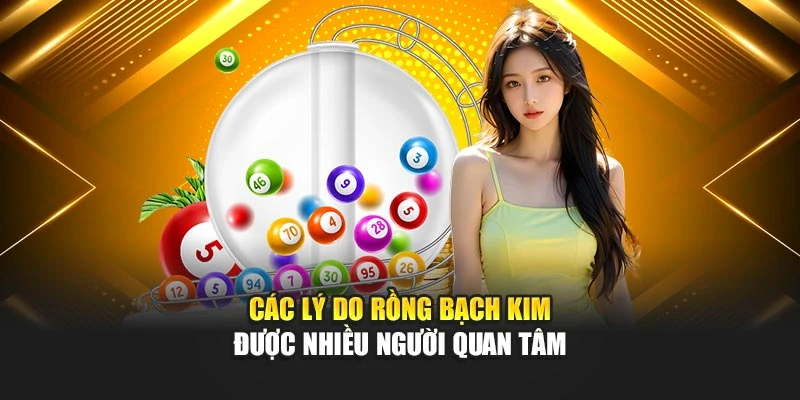Các lý do Rồng Bạch Kim được nhiều người quan tâm