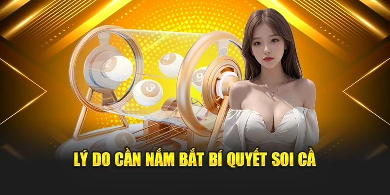 Lý do cần nắm bắt bí quyết soi cầu