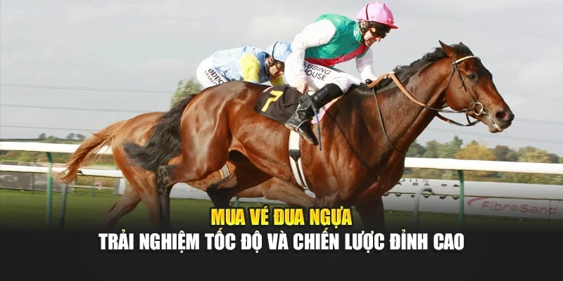 Mua Vé Đua Ngựa