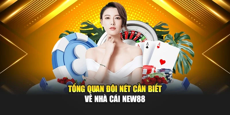 Tổng quan đôi nét cần biết về nhà cái New88